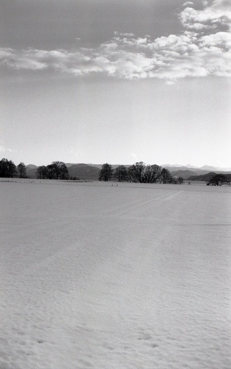 東北
#leica #m3 #voigtlander #heliar50f15 #summicron50 #collapsible #undermillion #kodak #tmax100 #fujifilm #arcos100ii #film