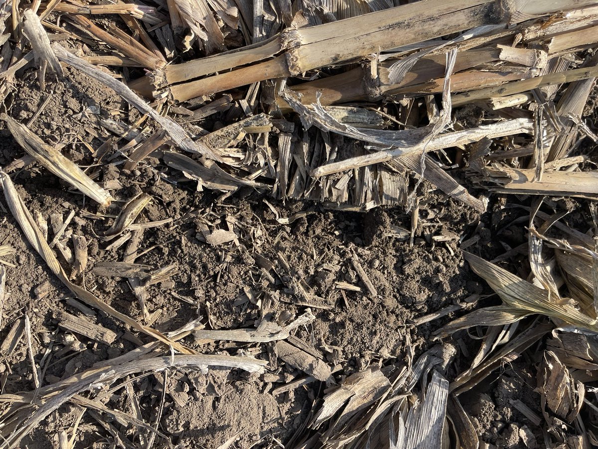 FLOLOfarms's tweet photo. Was a great day helping @AgVenturesAllia @AgLaunch get a planter dialed in for Susterre

Technology works great, but key advice for startups- Don’t let proven Tech hold up your techs progress 

But that’s the beauty of the Farmer Trial Network…. Boots on the ground https://t.co/ziLwI785Sv