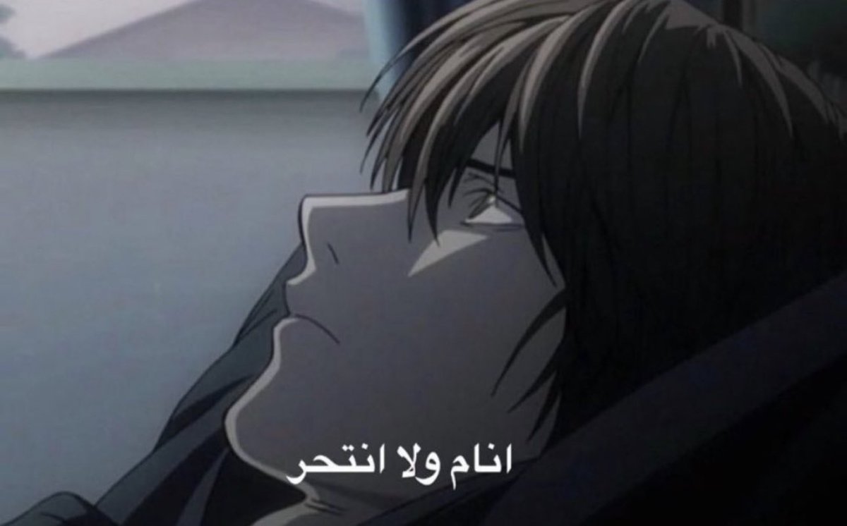 القط المشمشي (@_meow_meow_4) on Twitter photo 