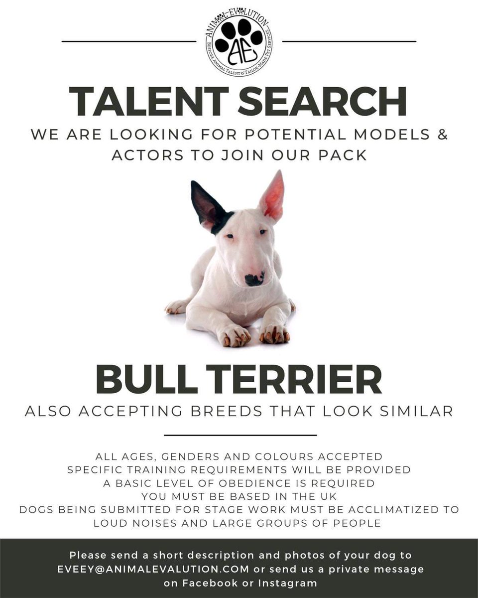 We are currently looking for a #BullTerrier to join our Animal Talent pack 🎭

All levels of training are accepted as specific training for certain roles will be provided for FREE. 

If you or someone you know is interested, please send us a direct message.