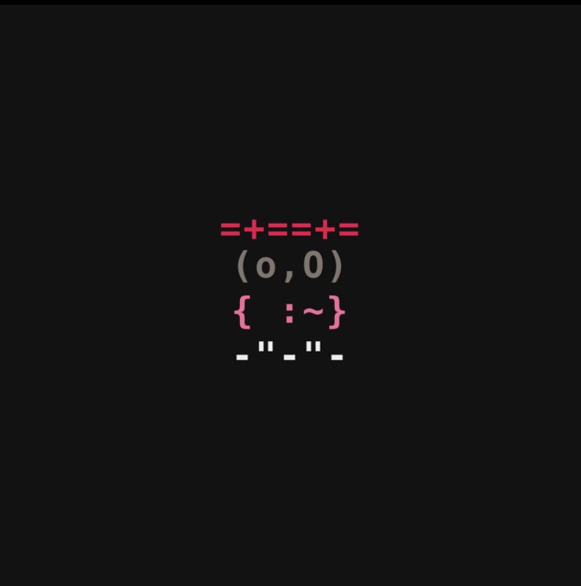 koolkids 🍣💥 tweet media