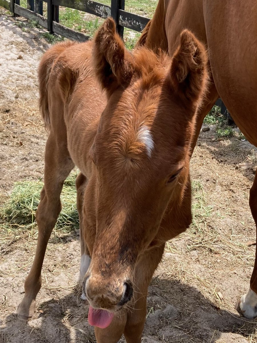 Michelle Hatton (@michellehatto19) on Twitter photo 