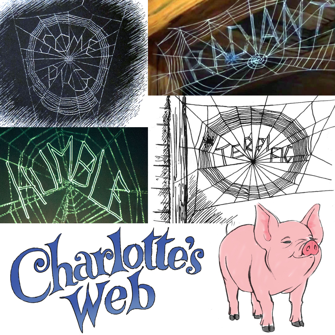 Look at all of the words Charlotte carefully selected to describe Wilbur. Now it's your turn! If you had only 5 words to describe a loved one, what would you say? Let us know in the comments and get your tickets (starting at $15!) at bit.ly/DCTCharlottesW….