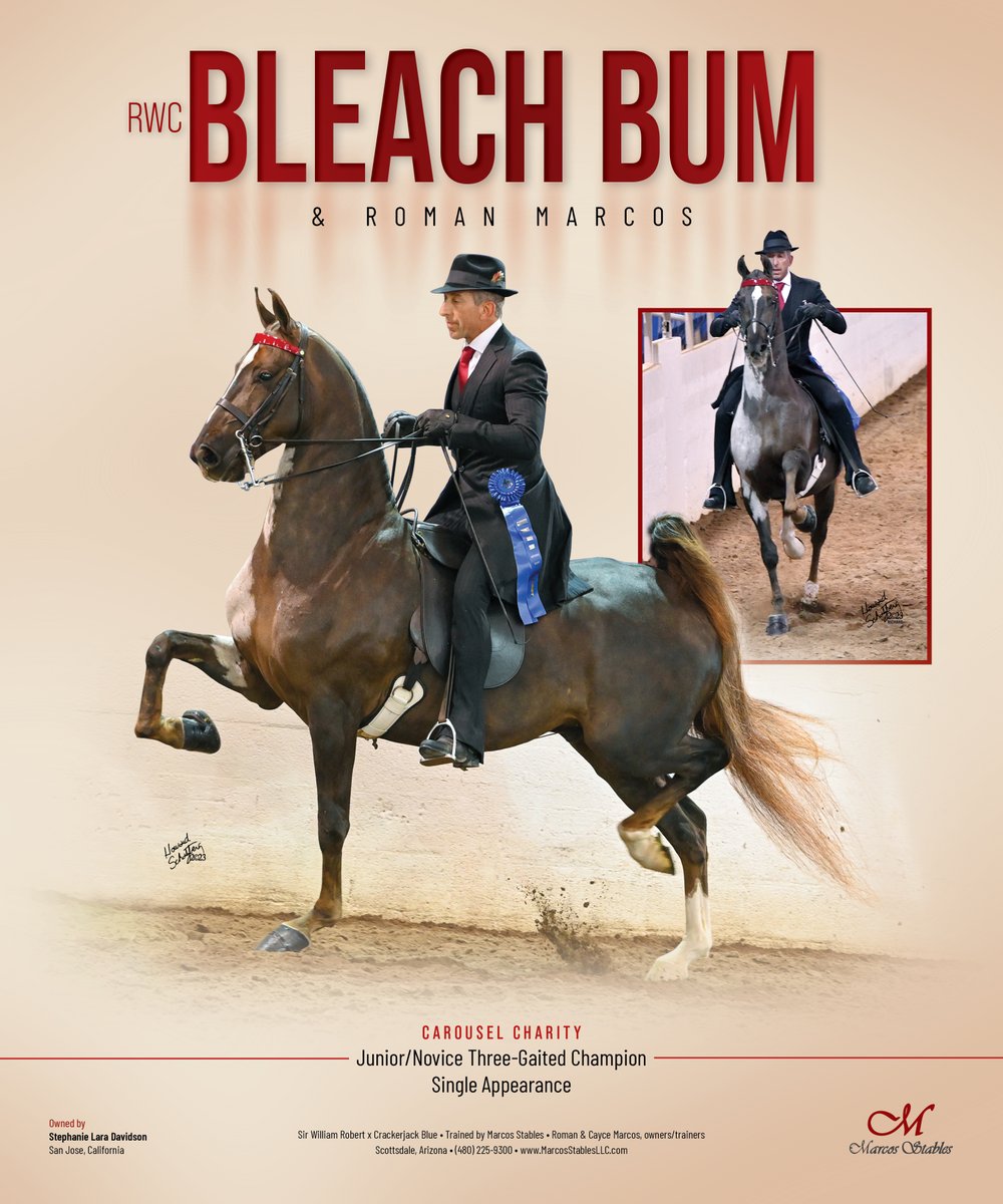 National Horseman tweet media