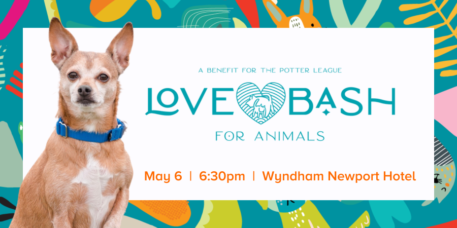 Potter League for Animals tweet media