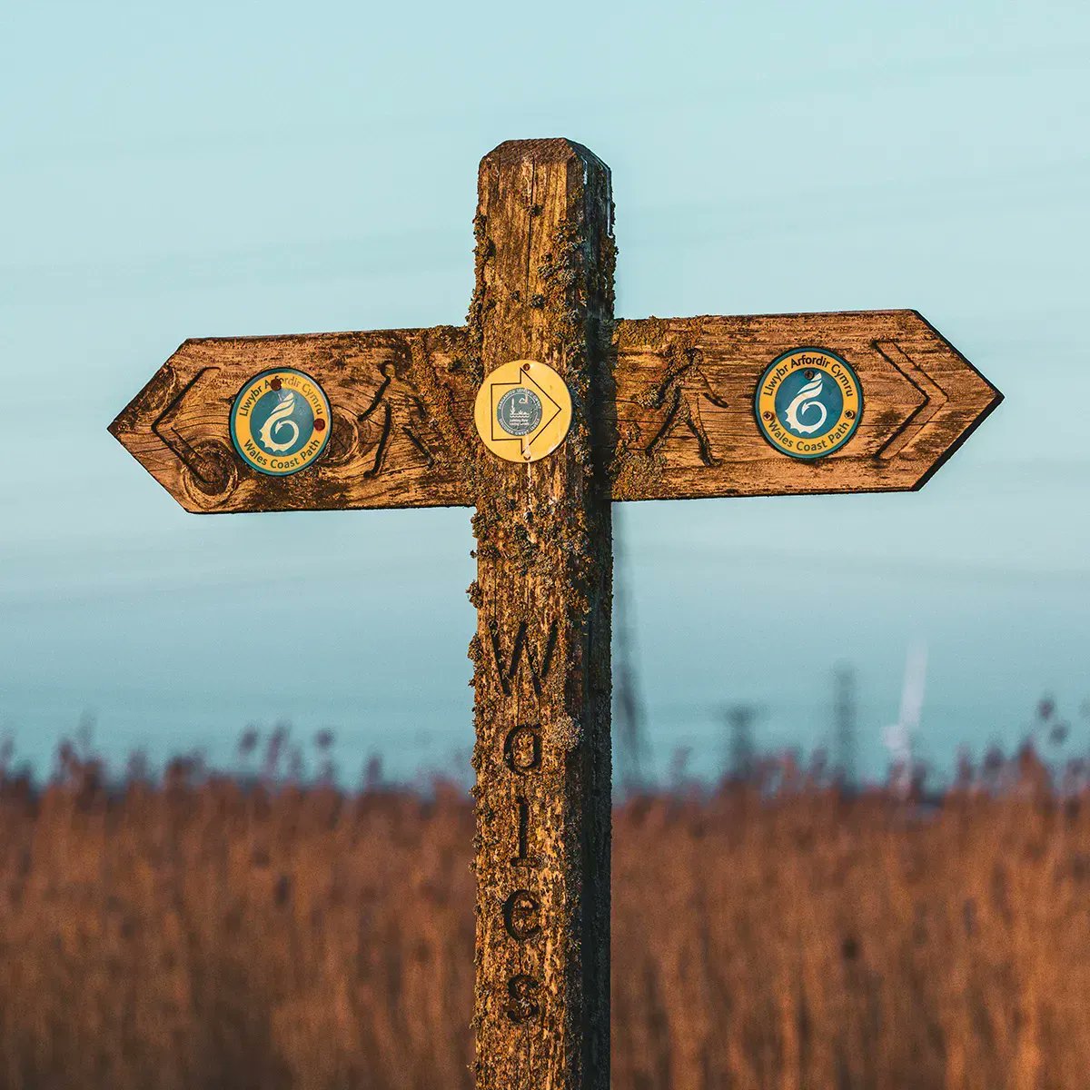 WalesCoastUK's tweet photo. The beautiful Wales Coast Path promises 870 miles / 1400 km of unbroken, unspoilt coastal walking around the entire Welsh coast. 🏴󠁧󠁢󠁷󠁬󠁳󠁿

#WalesCoastPath #LlwybrArfordirCymru #SpringTime #Cymru #Wales #VisitWales #CroesoCymru #CoastalWalk #BeachWalk #Waymarker #LongDistanceWalk https://t.co/R9Wz5uefLg