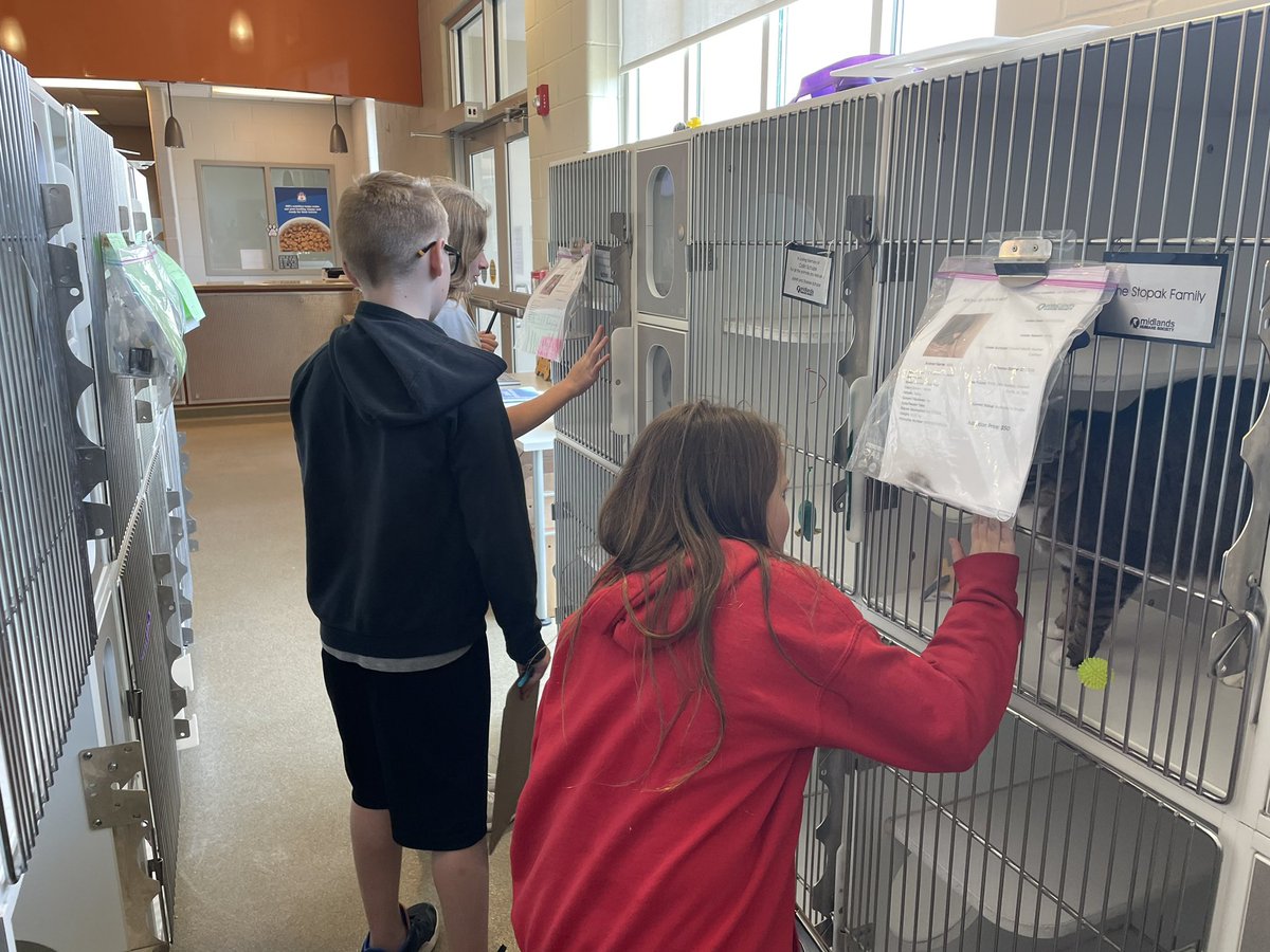 I am loving being an IB exhibition mentor this year and am learning SO much with these 5th graders.

Yesterday <a href="/CVLittleLynx/">College View Elem.</a> and <a href="/CLMightyJackets/">Carter Lake Elem</a> students interviewed an expert from <a href="/Midlandshumane/">Midlands Humane Society</a> to learn more about what we can do in our community to help animals. @tschimo