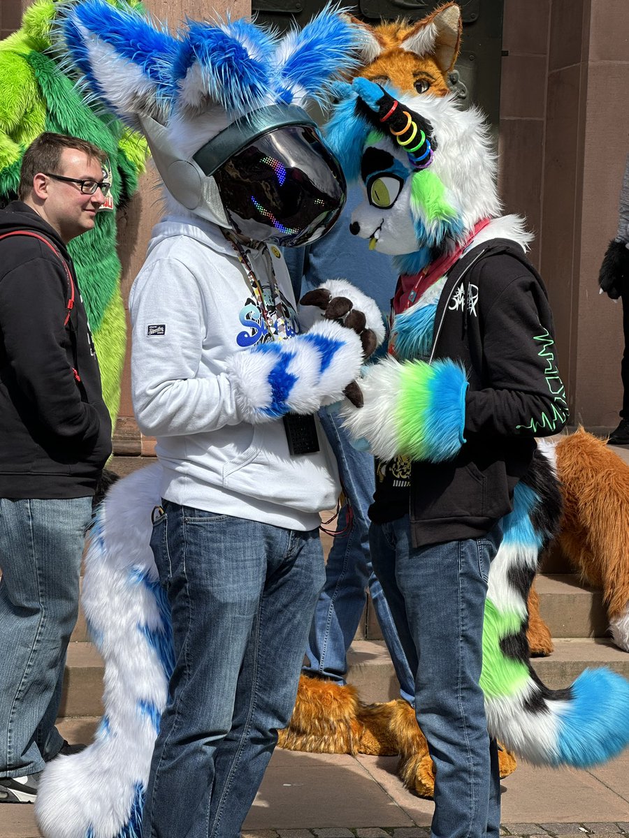 Paw-sing for a casual fluff talk with @jaro_cat (insta)

📸 Shedowe#9499 (discord)
📍 #Karlsfurs #Karlsruhe