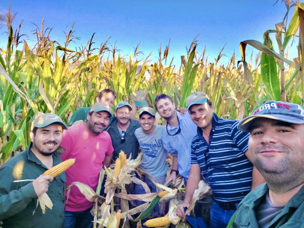 leandroemoreno's tweet photo. Aprendiendo un poco de maíces con los que saben! Gracias @DarioOleszczuk por la recorrida https://t.co/l08mNCwLIZ