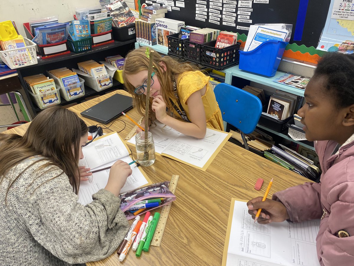 Erika15908488's tweet photo. Kids are taking care of black willows, N.C native trees , and journaling changes! #GlobalActionProjects #GlobalLeaders #UnitingOurWorld @ParticipateLrng #ElonEd https://t.co/BM1cvvruCD
