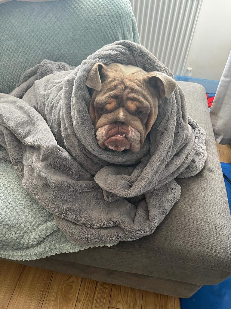 ECA_x_'s tweet photo. Sausage roll🥺😍🥰 https://t.co/nN3KVhJ8VQ