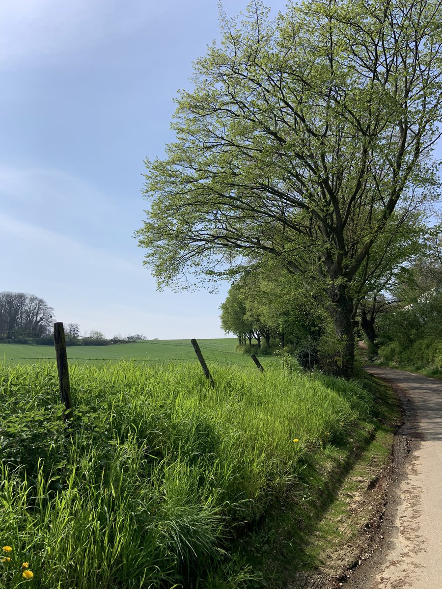 Westrik's tweet photo. Natuurschoon. Onderweg in de buurt van #Doenrade 🚶🏻🚶‍♀️🥾 op naar een pintje. 🍺 https://t.co/hJRwVajmjD