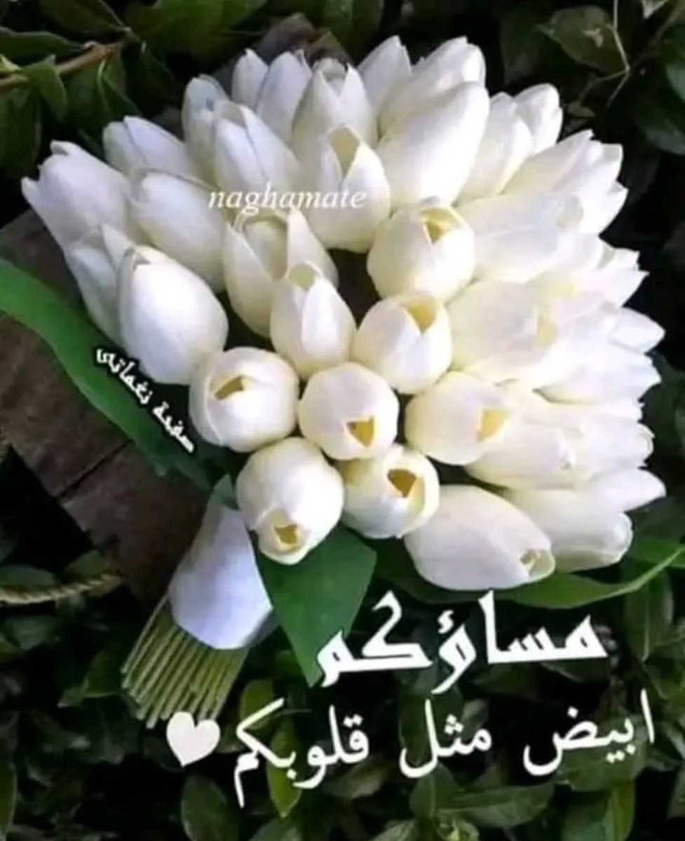 AliMoha16018355's tweet photo. @good5__ https://t.co/Ccgo01HTPp