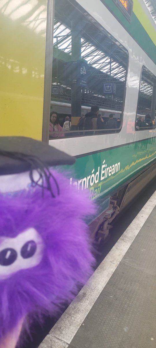 Professor Fluffy here ... really excited to be heading to the Irish Education Awards tonight! Hope my seat is reserved on the @UCC @UccSkills @S_A_Ireland table! #EducationAwardsIRL Best Outreach Category!
