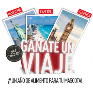 sorteosgratisar's tweet photo. #SorteoGratis de Hoy!!!: Promo Royal Canin ganá viaje Participa aquí: https://t.co/EkMNlpOgRN https://t.co/zTuLLIkqWi