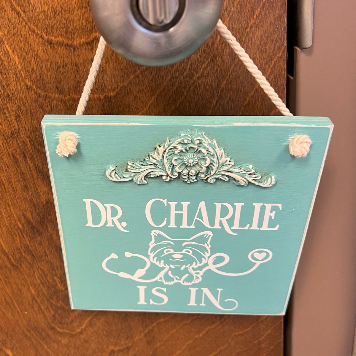 STS_CTsurgery's tweet photo. The #STSwellness series continues as @EHStephensCHD shares the joy of owning a therapy dog: "As many in our field, my life tends to be work, work, work. But amidst many demands, my little Charlie provides so much joy-not just to me but to many others he sees!" #BeYourBestSelf https://t.co/n3iBnrR8tP