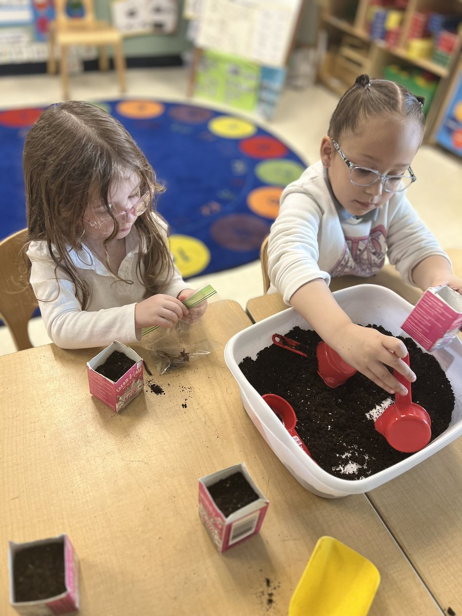 We loved planting our marigold seeds 🌞🌼