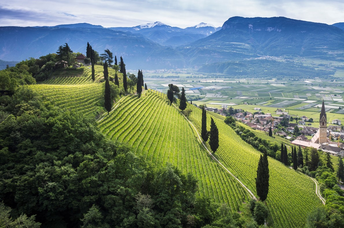 Thank you to the Elena Walch for taking part at #operawine2023!
<a href="/steviekim222/">Stevie Kim</a>  @VinitalyTasting  @pressVRfiere  <a href="/WineSpectator/">Wine Spectator</a> 
<a href="/ElenaWalch/">Elena Walch</a> 
#operawine #winespectator #vinitaly #vinitalymarathon #vinitaly2023 #italianwineexcellence #bestwineries