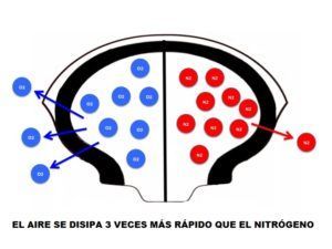 Iberisa S.L. tweet media