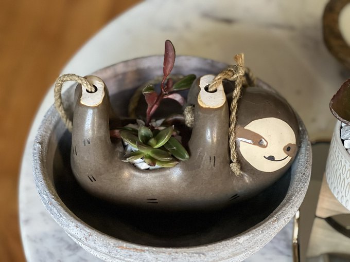 I&rsquo;ve spent the last 24 hours making succulent arrangements, and I forgot how therapeutic it is to work<a href="/tag/mvsales"class="tags"><span>#mvsales</span></a>