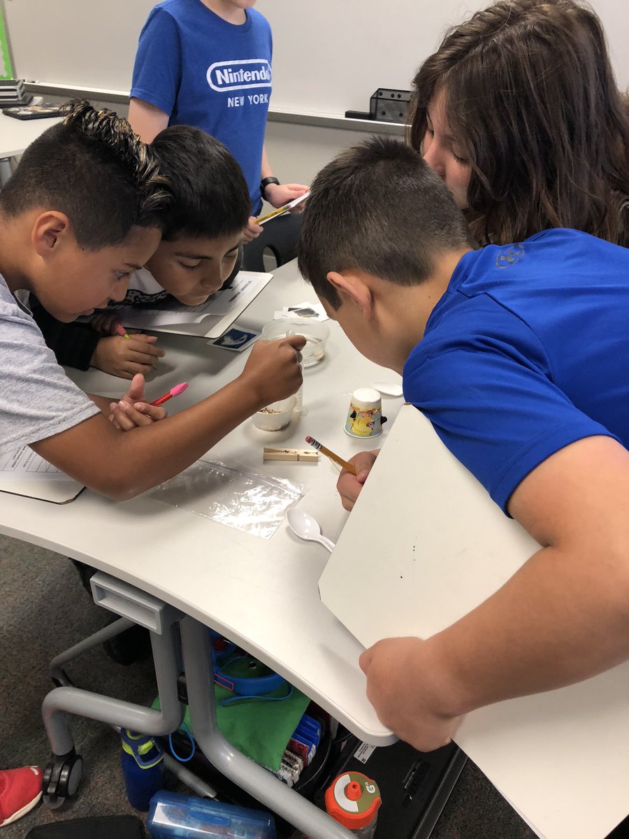 maxwellj_16's tweet photo. Bird Beak Lab! @Longbranch_Elem https://t.co/sZVyvnvyHH