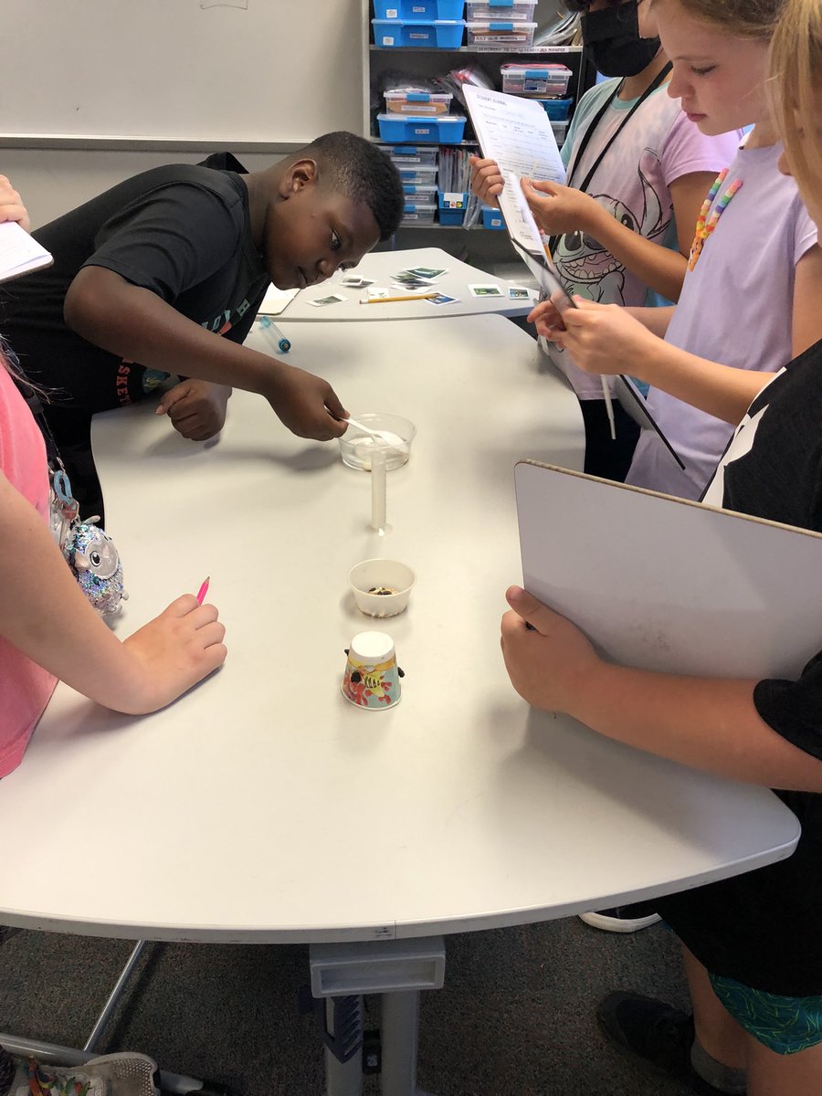 maxwellj_16's tweet photo. Bird Beak Lab! @Longbranch_Elem https://t.co/sZVyvnvyHH
