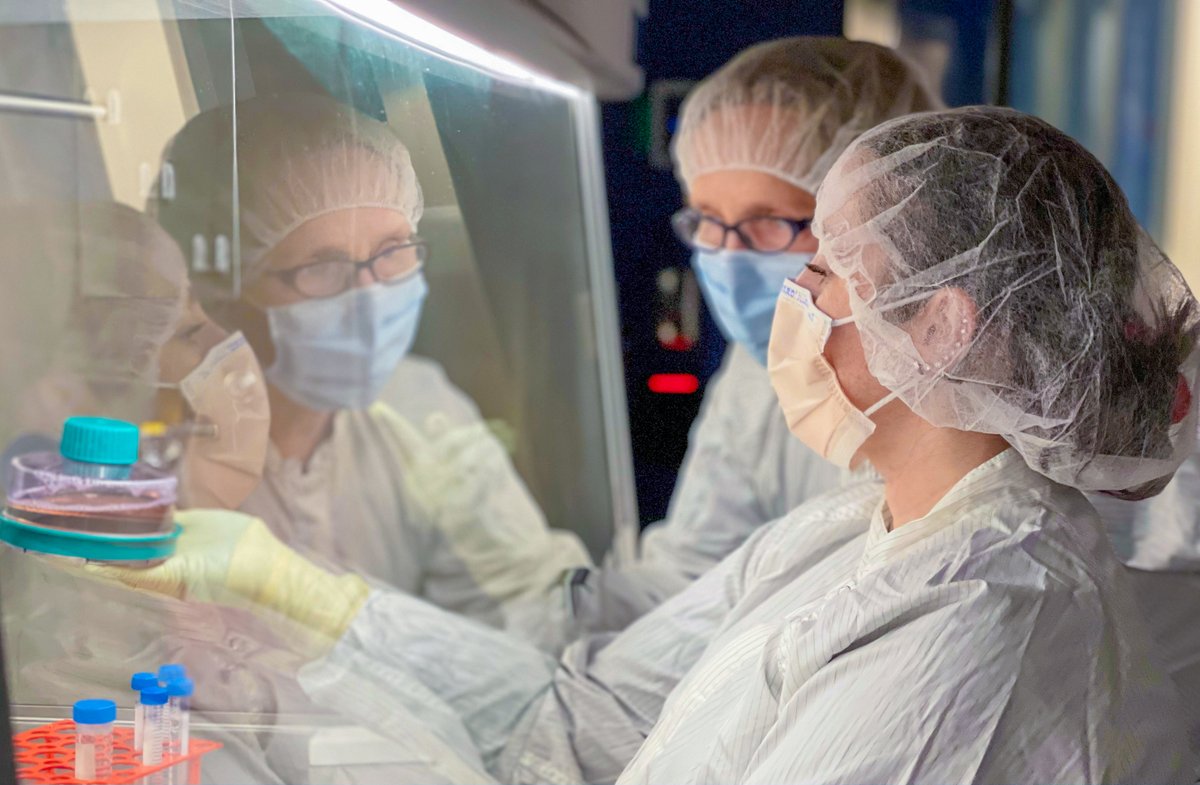 DanaFarber's tweet image. During #MedicalLabProfessionalsWeek, we recognize the tremendous contributions of the lab professionals in our Connell and O’Reilly Families Cell Manipulation Core Facility. 

This team is instrumental in bringing emerging #CellularTherapies to patients in need.