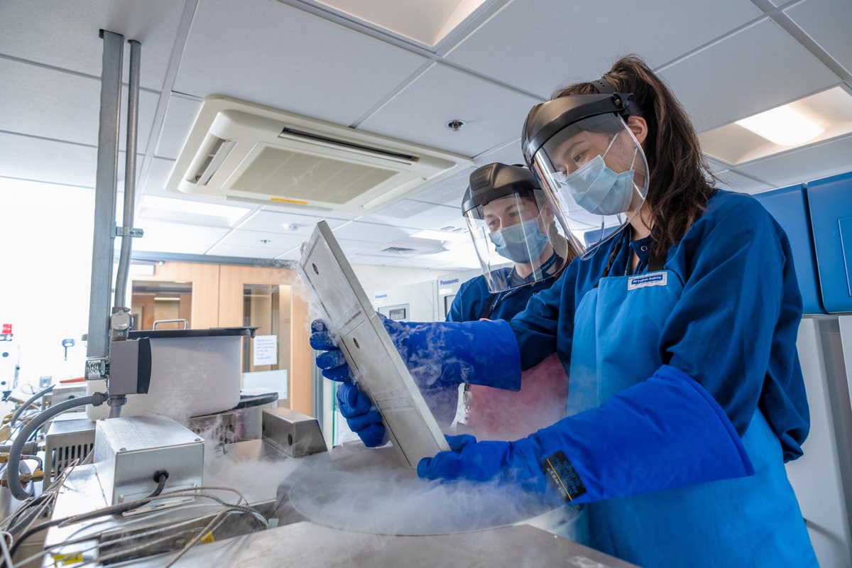 DanaFarber's tweet image. During #MedicalLabProfessionalsWeek, we recognize the tremendous contributions of the lab professionals in our Connell and O’Reilly Families Cell Manipulation Core Facility. 

This team is instrumental in bringing emerging #CellularTherapies to patients in need.