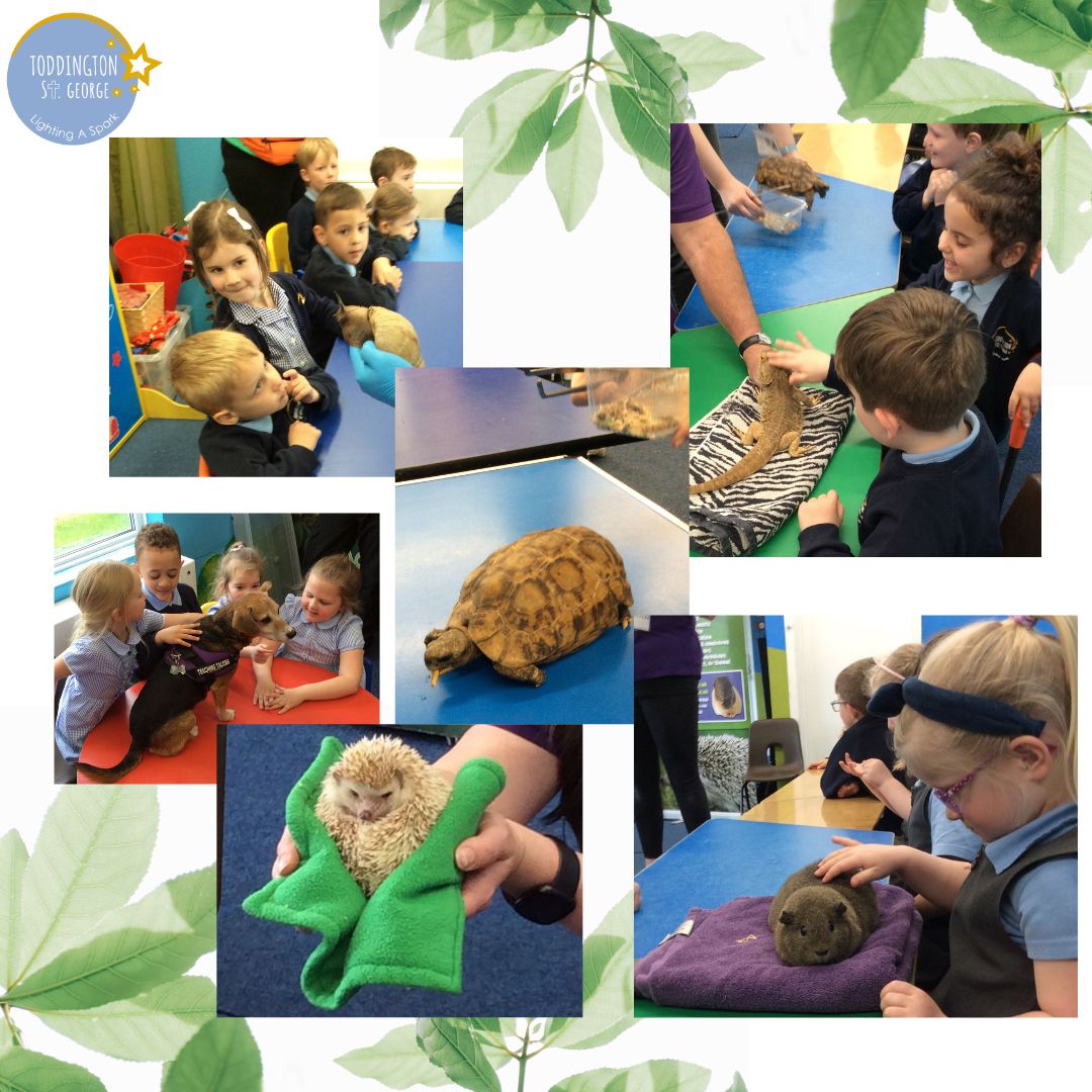 As part of their 'Creep, Crawl &amp; Wriggle' project this term our reception classes met some wonderful creatures this week when Teaching Talons paid them a visit.
#lightingaspark #teachingtalons