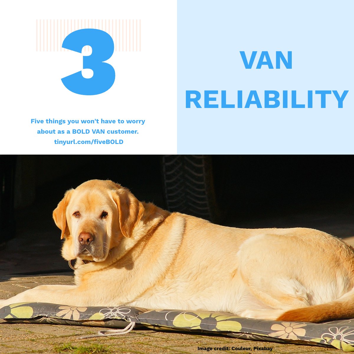 bold_van's tweet photo. Five things you won't have to worry about as a BOLD VAN customer: #3—VAN Reliability
You can count on BOLD VAN to be there for you like a trusty pet. Check out the full story at https://t.co/xGNHXL70tk
#electronicdatainterchange #valueaddednetwork
#reliability https://t.co/ocAqWuMeOb