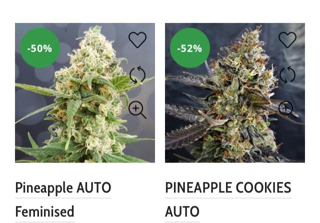 Lineagegenetics's tweet photo. Many Auto strains on SALE until Sunday, or while stocks last..
#420community #Automaticseeds #CannabisCommunity #homegrownweed #legalizeweed #qualityseeds #stonerchick #weedlife #thc https://t.co/FNRoYuplSm