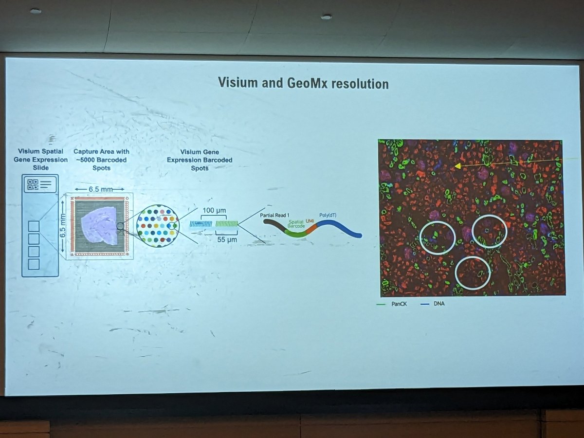 MSKCC Integrated Genomics Operation tweet media
