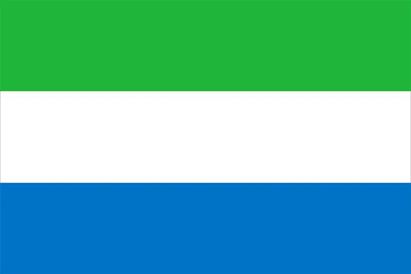 SaloneGoddess_'s tweet photo. The Flag:                                            The Face: https://t.co/udT2RCkTHp