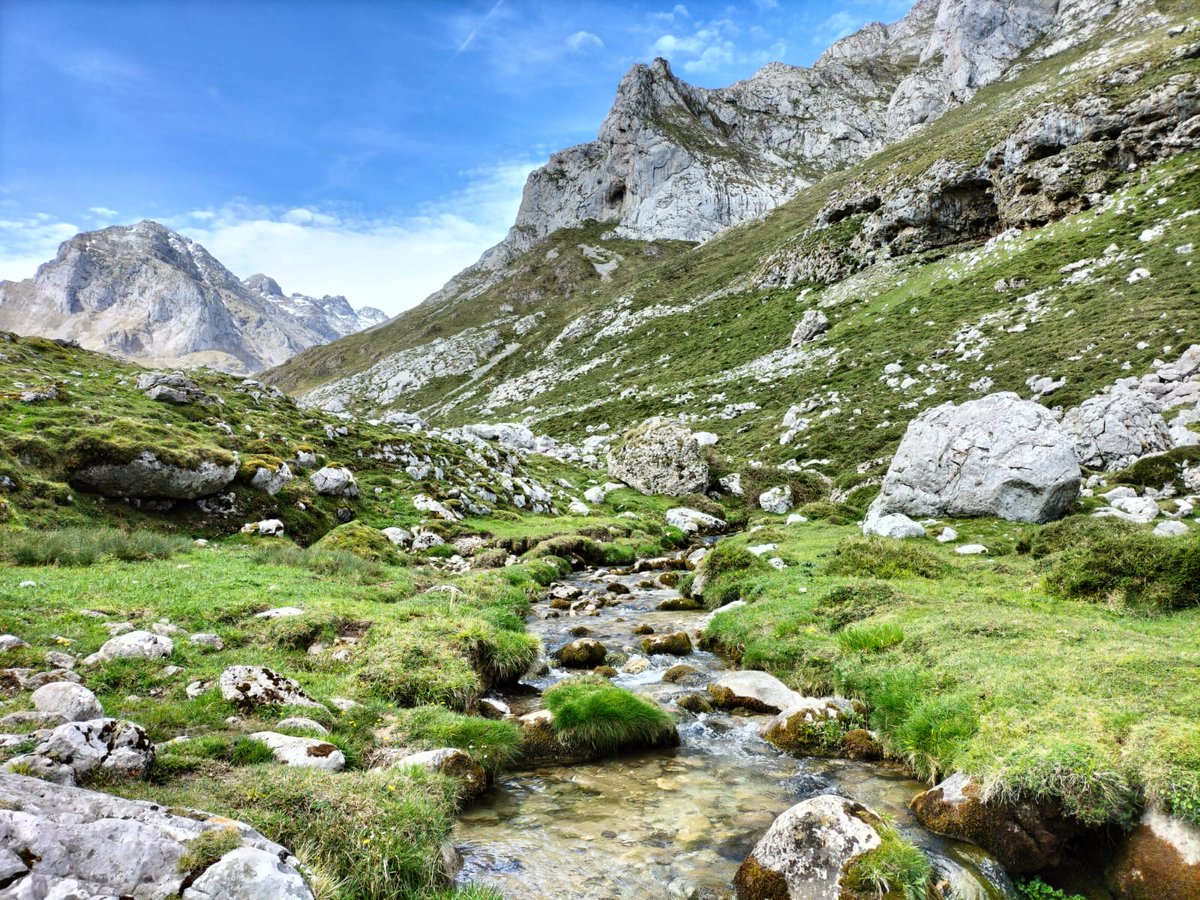 DavidAlonsoMed's tweet image. Parece dibujada, pero la imagen es tal cual está hoy el río Duje 😍 en la Vega Fresnidiellu, en pleno corazón de #Picos 
#Asturies 💚