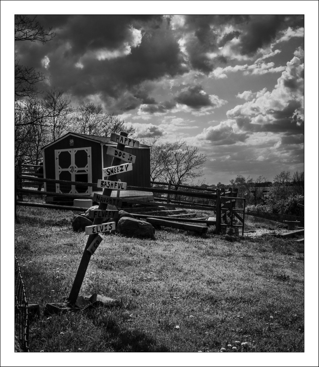 Another from #NormanJLevyPark. This is where their #NigerianDwarfGoat put their feet up at night.

#photography
#windmill
#Nigerian
#Dwarf
#Goat
#digital
#art
#sonyrx100vii
#sony
#BlackAndWhite
#monochrome
#rx100vii
#rx100