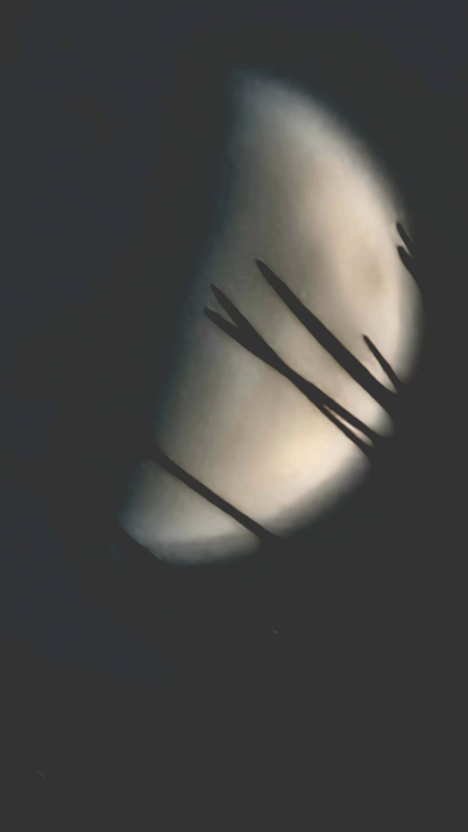 달을 찍으려고 갔던 건 아니다. 단지 그랬던 건 아니다. 그걸 알면서도 아낌없이 얼굴 앞으로 다가온다. 그걸 알아버린 난 예쁘게 담고 싶었다. 시선 그대로 담았다. 보여주고 싶어서, 담았다.
#달 #소나무와달
#보여주고싶어서