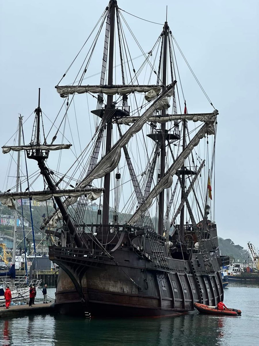 Willow and McGregor (The Westie Angel) 🇬🇧 tweet media