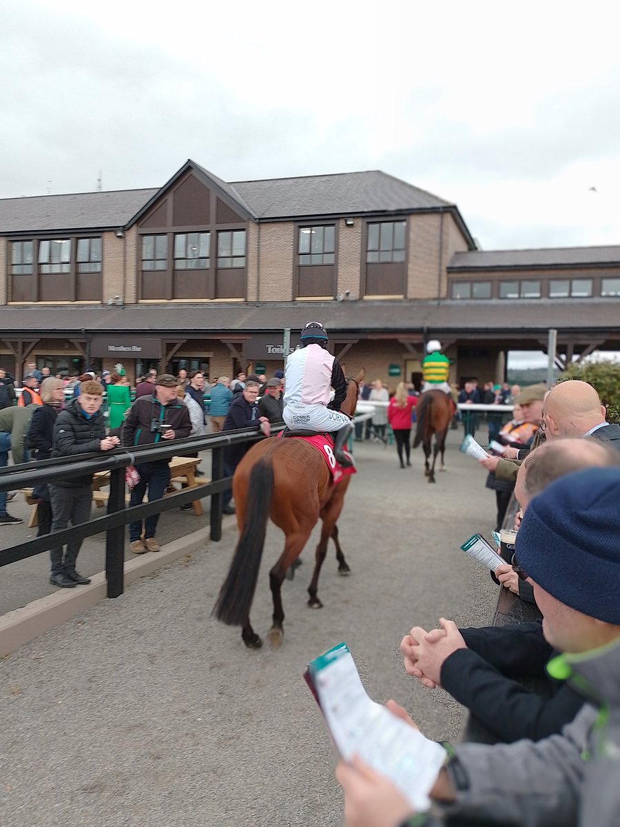 Joe Seward on Twitter "Huge crowd again on Day 3 punchestownrace as