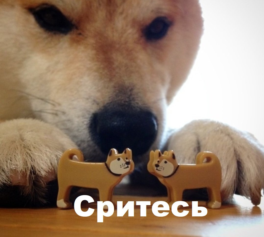 Сегодня в Твитере довольно скучно. 

Почти никто не срется, сырки не тырит, не обесценивает чужой переезд или решение остаться...