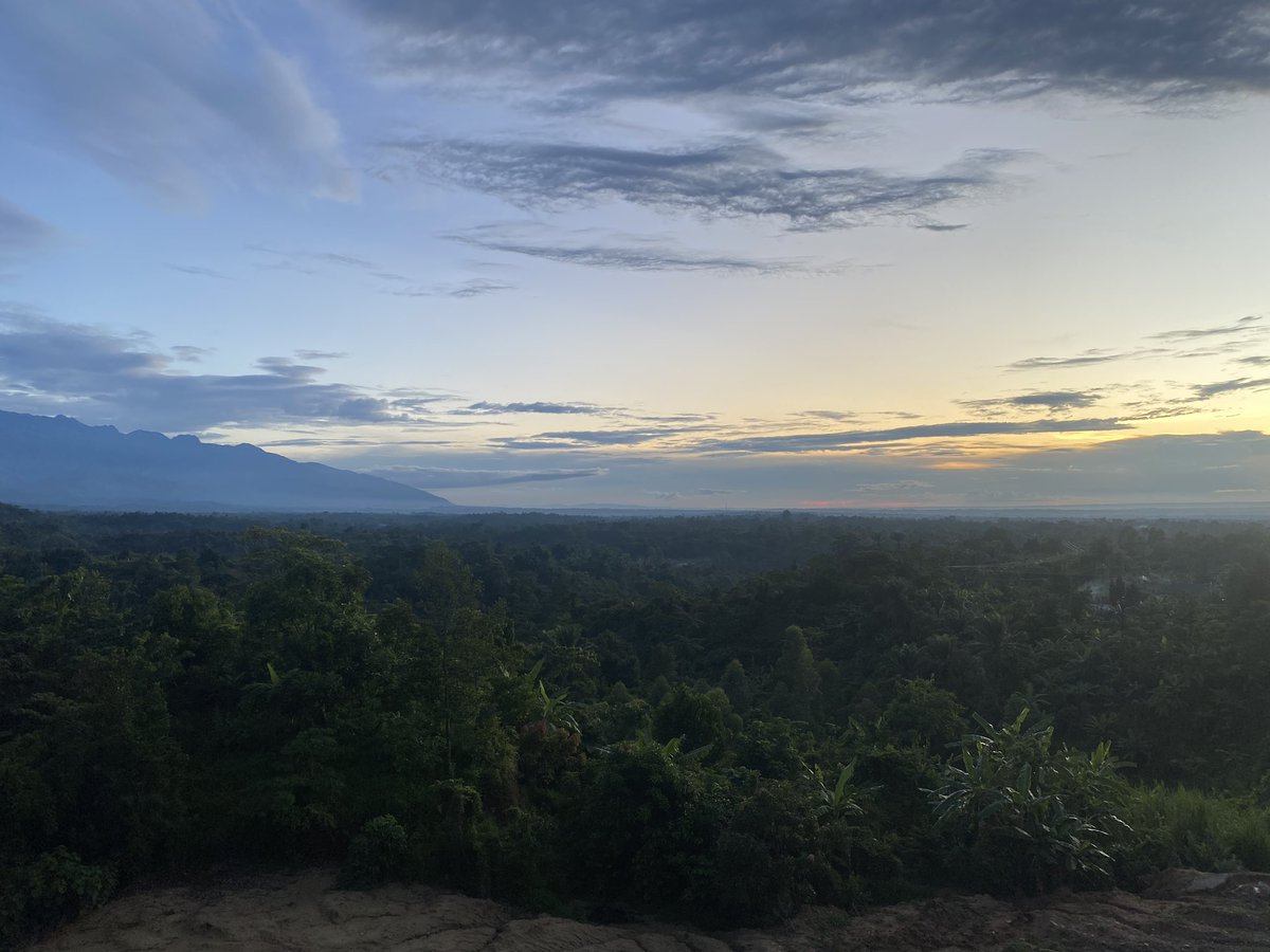 bentique3's tweet photo. Good evening from Bundibugyo
#29DaysofUGBeauty https://t.co/0N0IOcBZTB