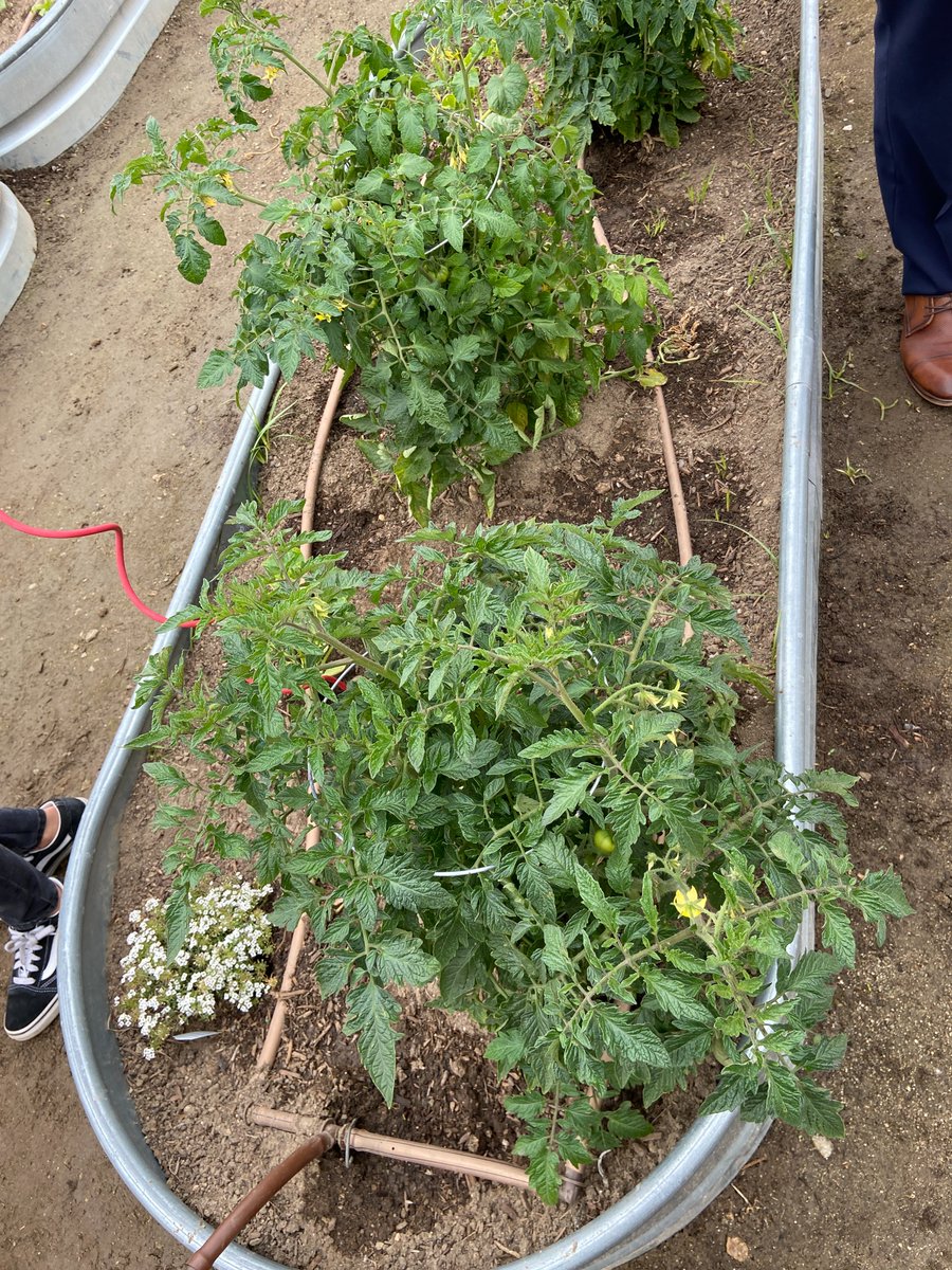 usda-team-nutrition-on-twitter-rt-usdanutrition-in-celebration-of