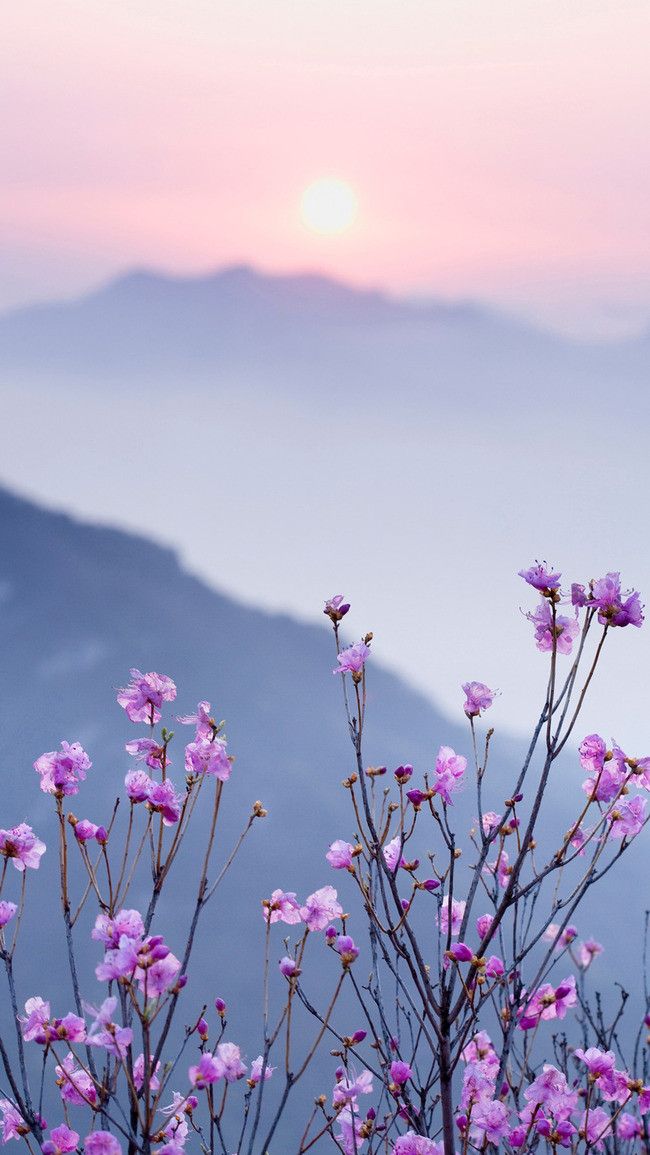 사랑얌 (@sarangyam97) on Twitter photo 