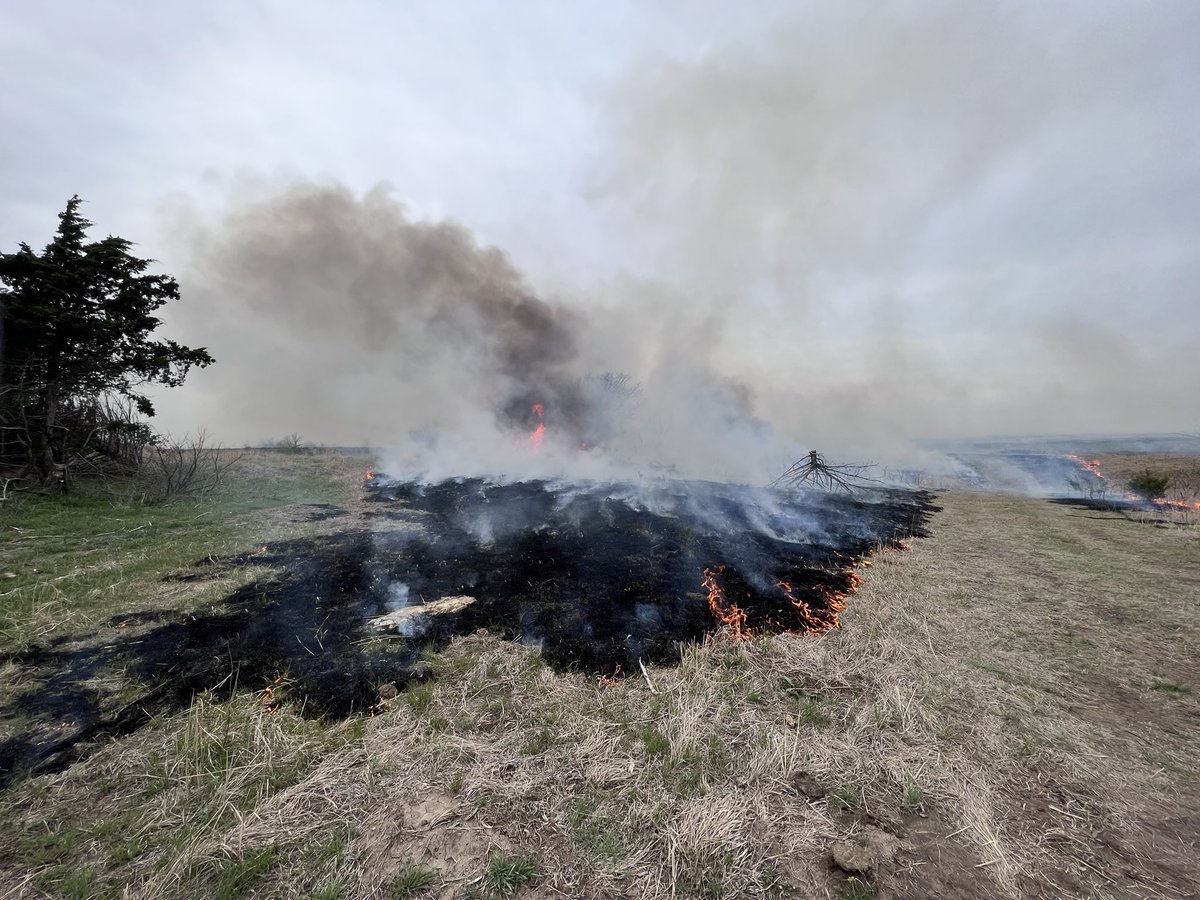 Burning in KS is a different world from burning in the mtns! So much local knowledge and support. We heard from several people that to them “springtime means smoke” and it’s NBD bc they know it’s great for the land, the cattle, and the community. 🔥 ❤️ 🐄  #goodfire #firescience