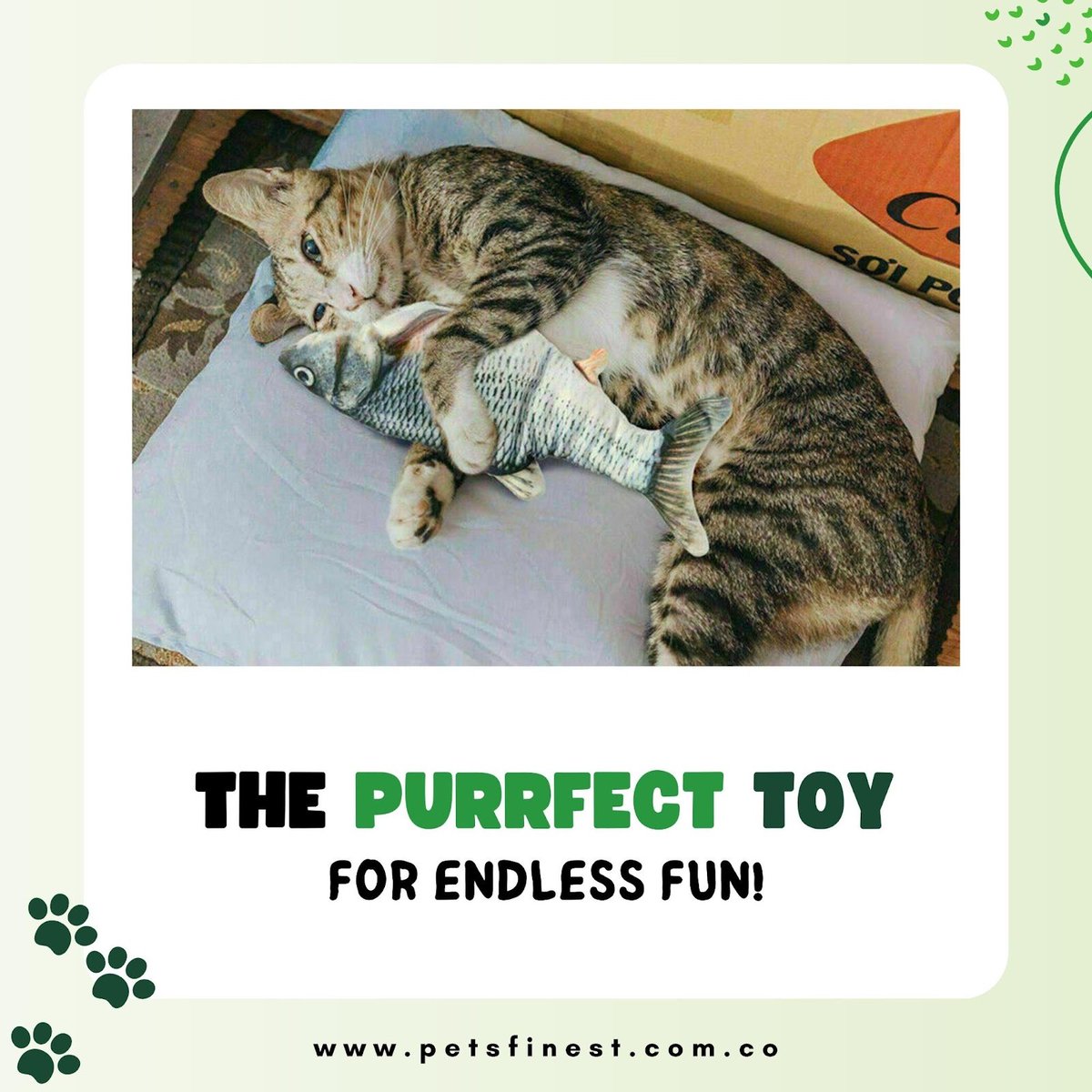petsfinest's tweet photo. Looking for a fun and engaging toy to keep your feline friend entertained? Look no further than our Electric Cat Toy Fish! Our innovative toy is designed to simulate the look and movement of a real fish.

Grab yours today from:  https://t.co/Cqqmr8mQdB 
.
#petsofinstagram https://t.co/2oSGOyzeYv