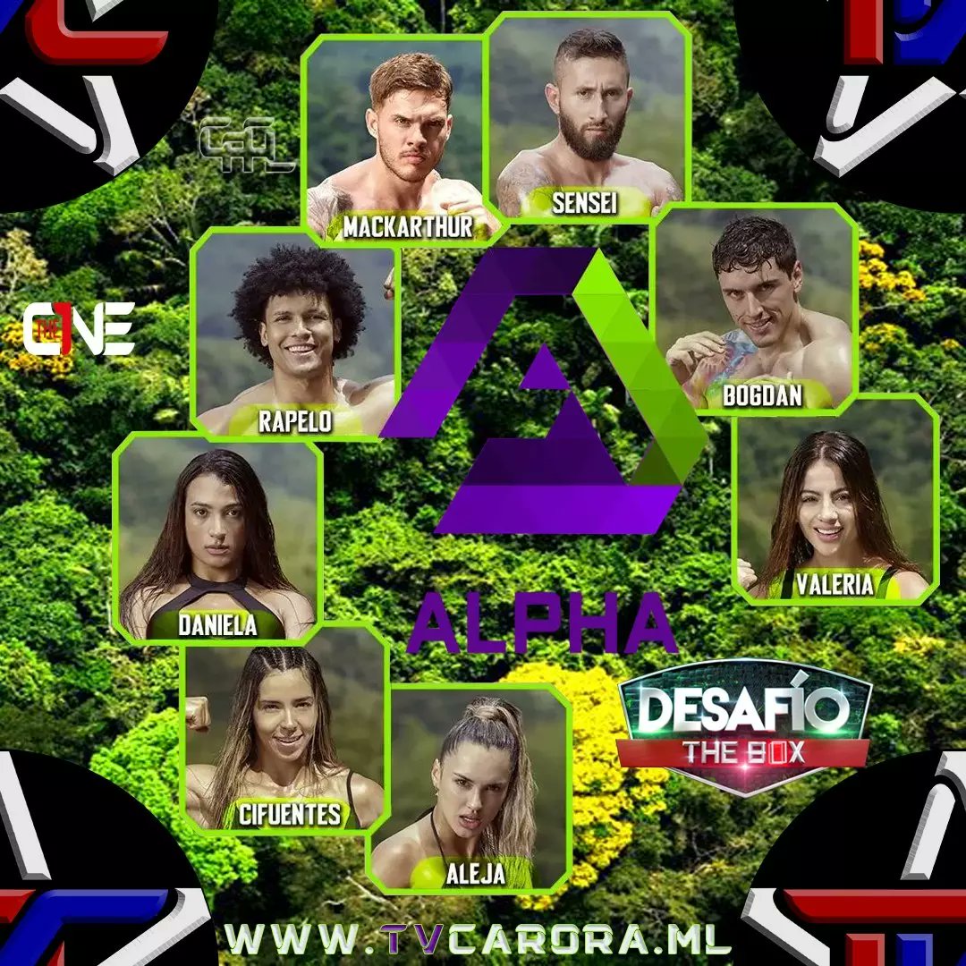 TvCarora's tweet photo. #DTB Este es el #Eliminado #Lesionado y los #Salvados de este #Ciclo #Saskya y #Black en el #Desafio con #AndreaSerna y #GabrielaTafur por #TvCarora Tu Canal #Alpha #Beta #Gamma #DesafíoTheBox #DTB2023 #DesafioTheBox #Desafío #Desafio2023 #Desafío2023 #TVC #CACL #TheOne #DTBxTVC https://t.co/vGzsoJbhLM