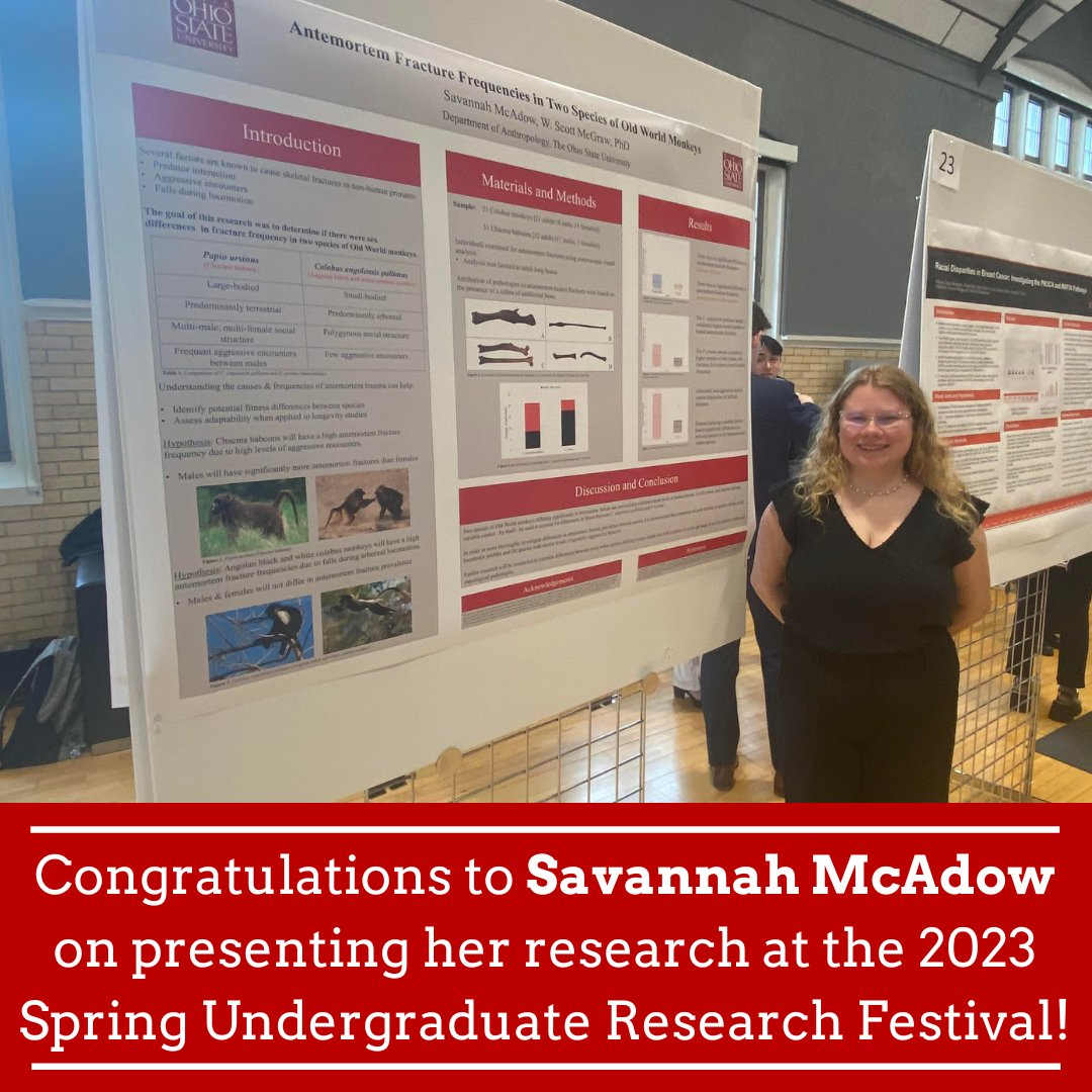 OSUanthro's tweet photo. Congrats to undergrad Savannah McAdow for presenting her research, "Antemortem fracture frequencies in two species of Old World Monkeys", at the 2023 Spring Undergraduate Research Festival!
Well done!
#primatology #oldworldmonkey #undergradresearch #ohiostate #anthropology https://t.co/eloKIqFRLW