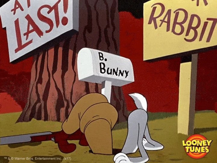 stull_mitchell's tweet photo. @mistrustme1 Silwy wabbit https://t.co/qKJ13M3cYS