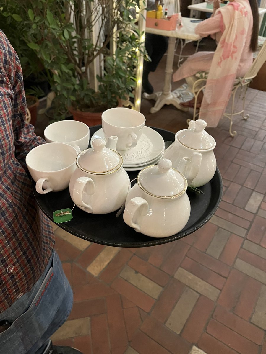 payalbhayana's tweet photo. After the intake of 1200 calories I am having green tea now 🤪🤪🤪 # hypocrite #diggins https://t.co/v52REdvXLW