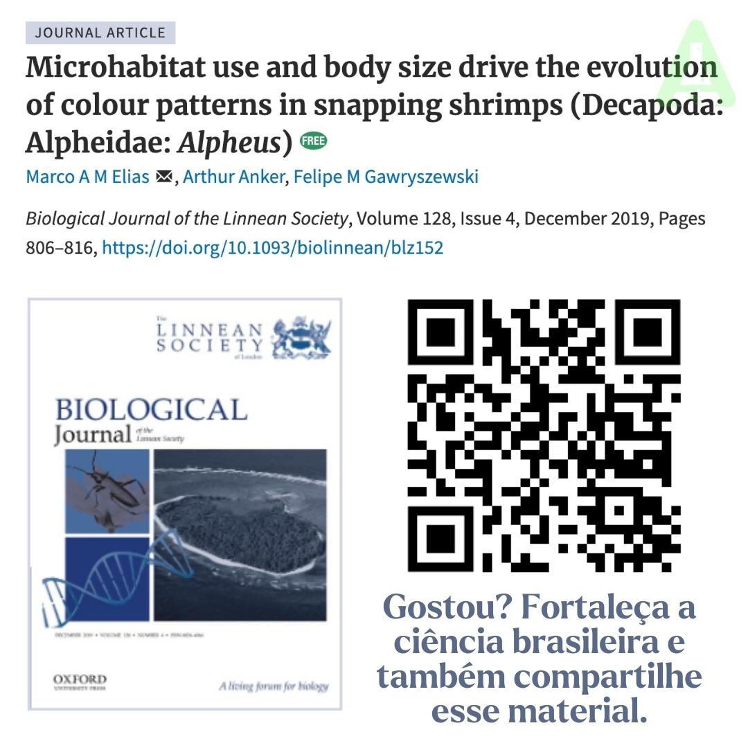 marcogynbio's tweet photo. If you enjoy this, share it as well! 🫶 So we can bring #scientific #information for more people! #Evolution #Science #Alpheus #SnappingShrimp #Biodiversity #MarineLife #Crustacean #Biology #Ecology #EvolutionaryEcology #Nature #pistolShrimp #scientificResearch @BiolJLinnSoc https://t.co/gNpI8vhlyZ