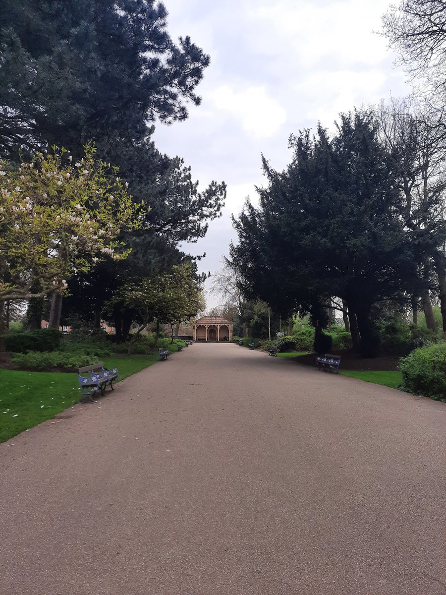 BDCFT Volunteer Service tweet media